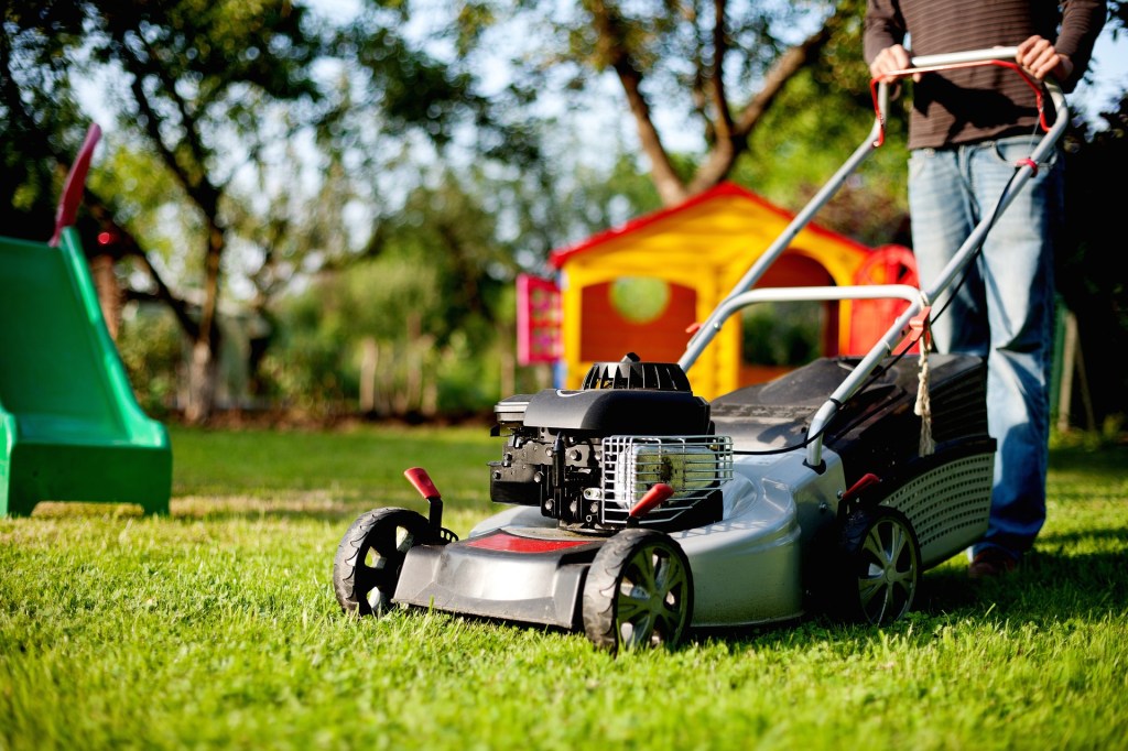 lawn mower grass cutting northern ireland county antrim and belfast, Carrickfergus greenisland